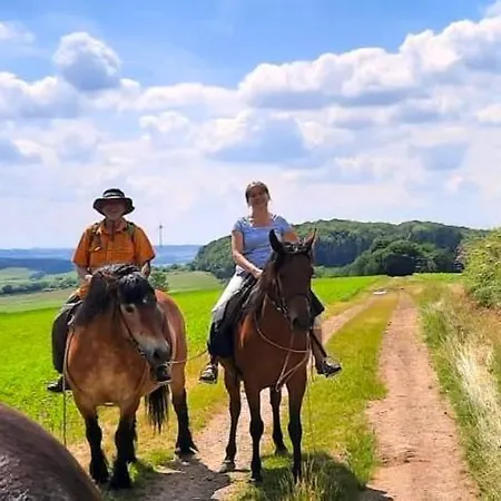Pferdestaerke-eifel Lejlighed *
