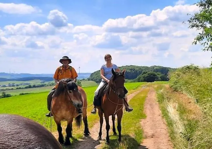 Pferdestaerke-eifel 公寓 *