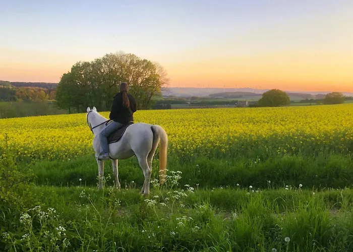 Pferdestaerke-eifel * Niederlauch