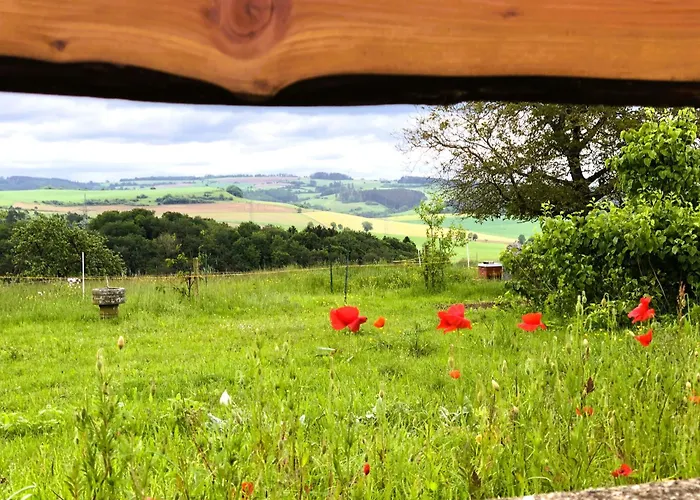 公寓 Pferdestaerke-eifel *